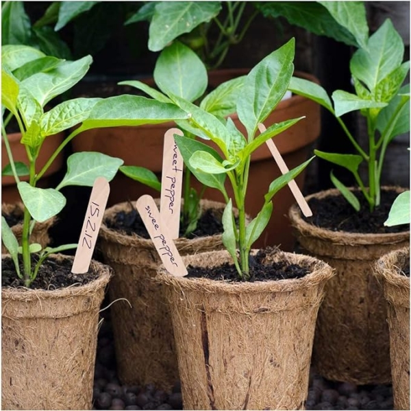 Targhette per orto/giardino - 10 pezzi - immagine 6