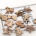 Kit Sagome in legno a tema Natale Docrafts